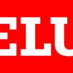 VELUX_2005_COLOR_45.jpg